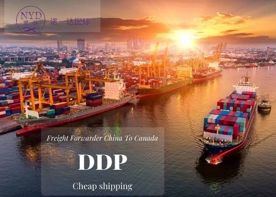 Fast Delivery Service Freight Forwarder To Canada With Guaranteed Customs Clearance