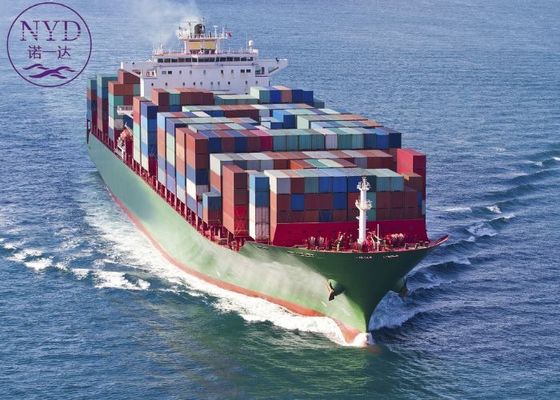 Fast FCL Sea Freight Transportation MSC Container Shipping Services