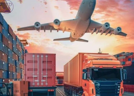 Fast Delivery Service Freight Forwarder To Canada With Guaranteed Customs Clearance