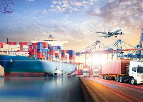 Ocean DG Shipping Services Global Logistics Freight Transportation
